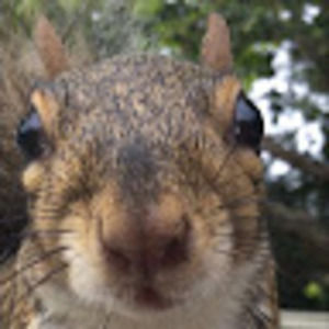 Meet your Posher, Charlie